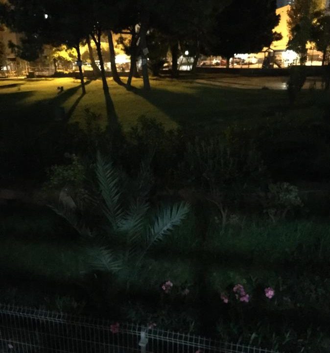 W000010_p45_obj_6gm1652ys